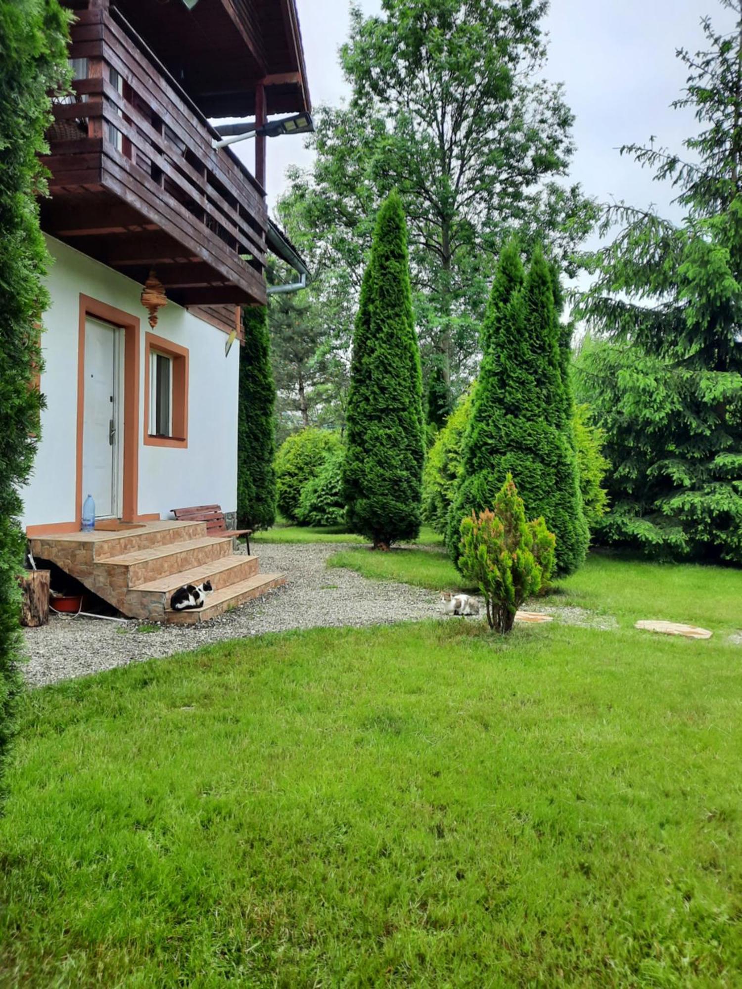 Colt De Rai Villa Bran  Exterior photo